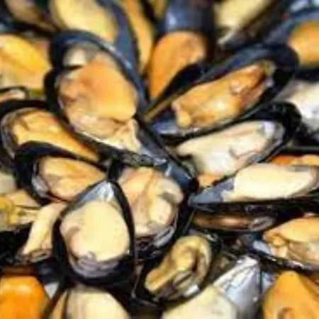 Ada Apartment Venice